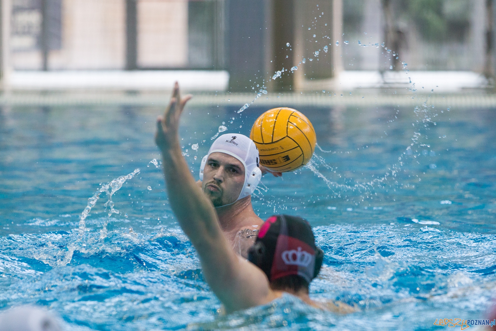 KS Waterpolo Poznań - Arkonia Szczecin  Foto: lepszyPOZNAN.pl / Piotr Rychter