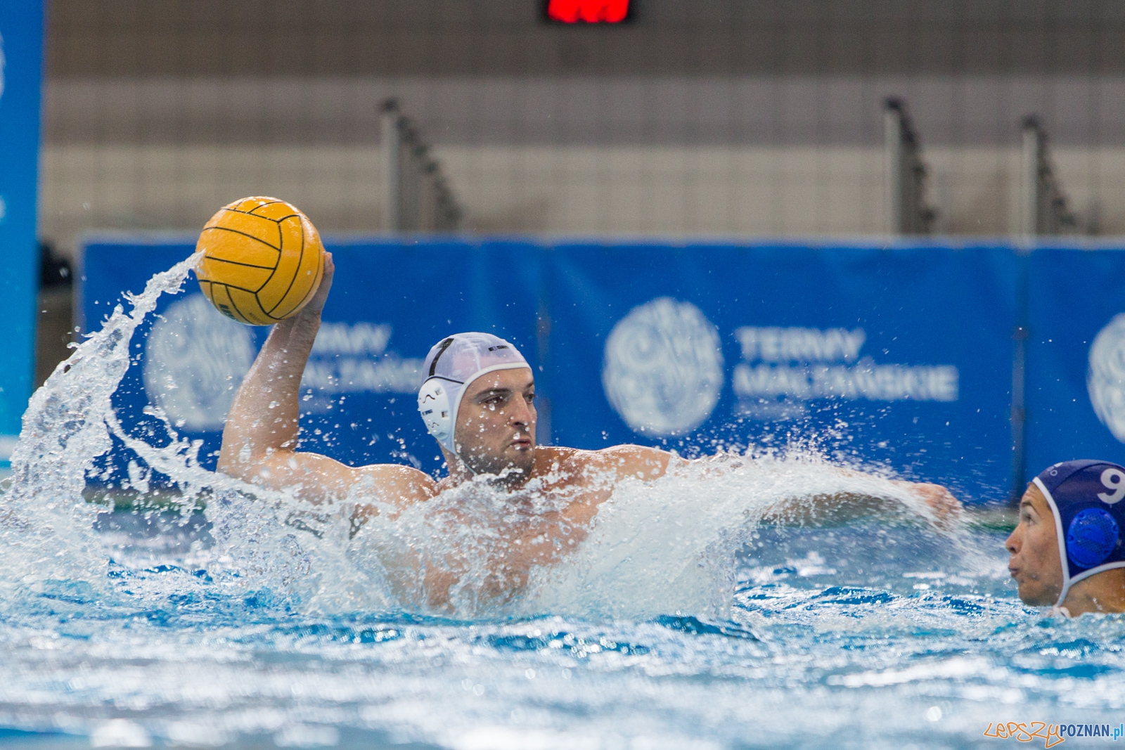 KS Waterpolo Poznań - Budapesti Honvéd Sport Egyesület  Foto: lepszyPOZNAN.pl / Piotr Rychter