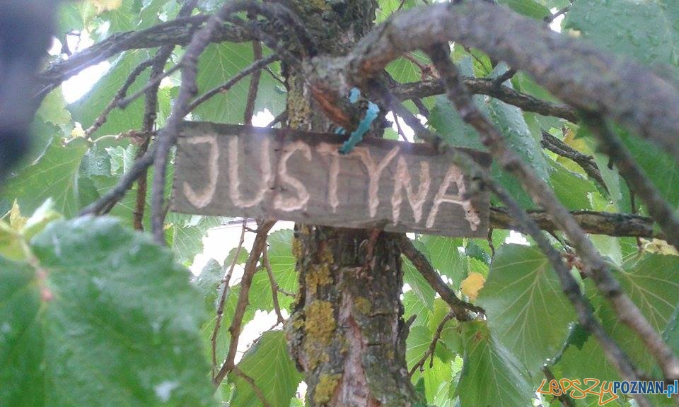 Czy Justyna będzie ścięta?  Foto: facebook.com/poznan.antoninek / Ola