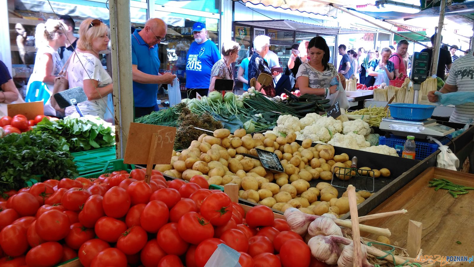 Rynek Jeżycki - czerwiec 2016 (12)  Foto: lepszyPOZNAN.pl