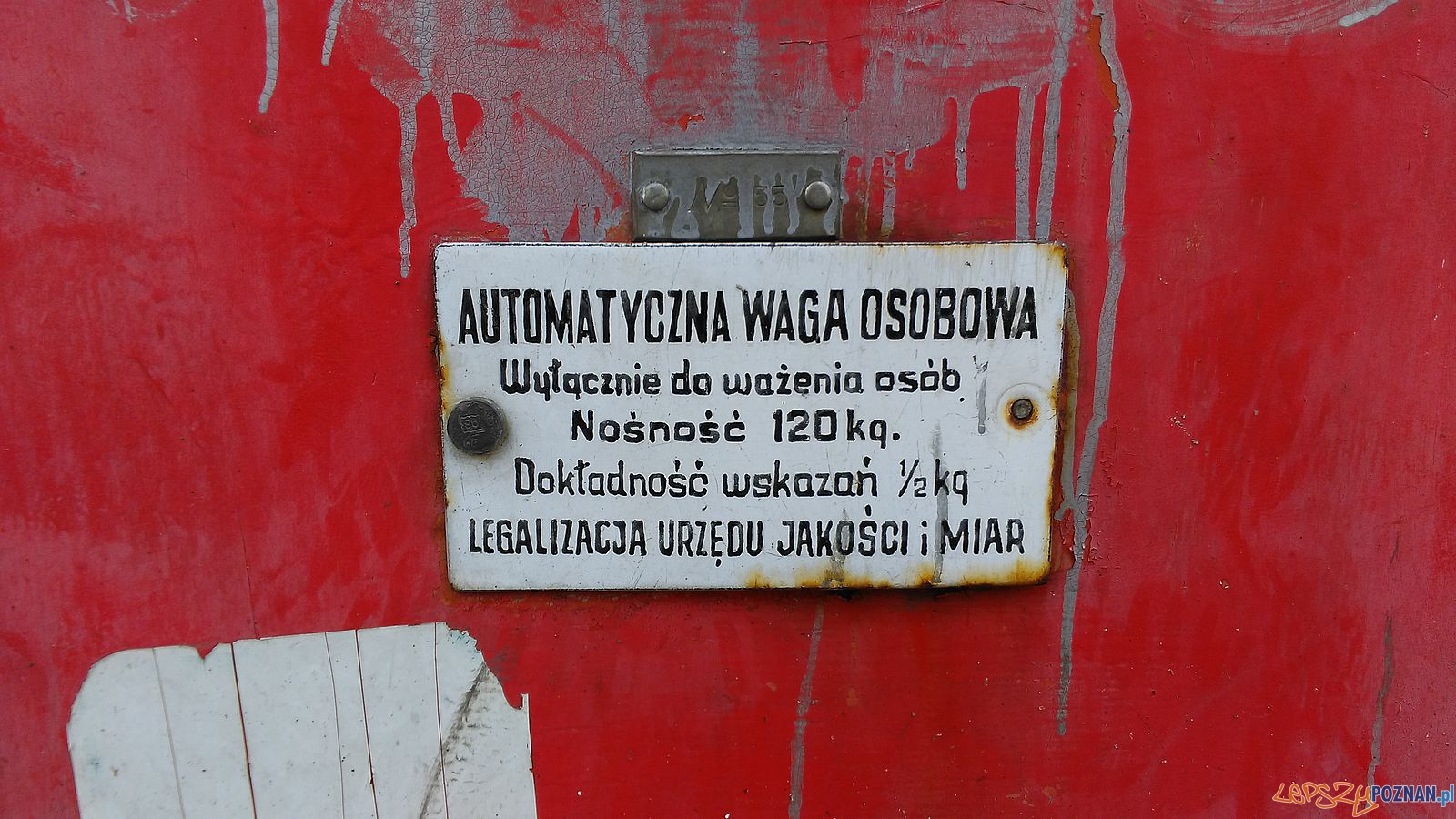 Czerwona waga z Al. Marcinkowskiego  (8)  Foto: Tomasz Dworek / ROSM