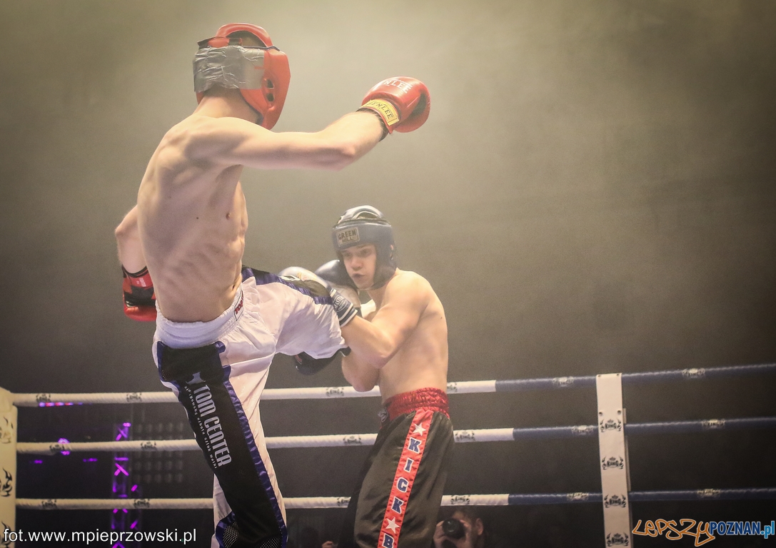 Mistrzostwa Polski Seniorów  Foto: Polski Związek Kickboxingu / www.mpieprzowski.pl