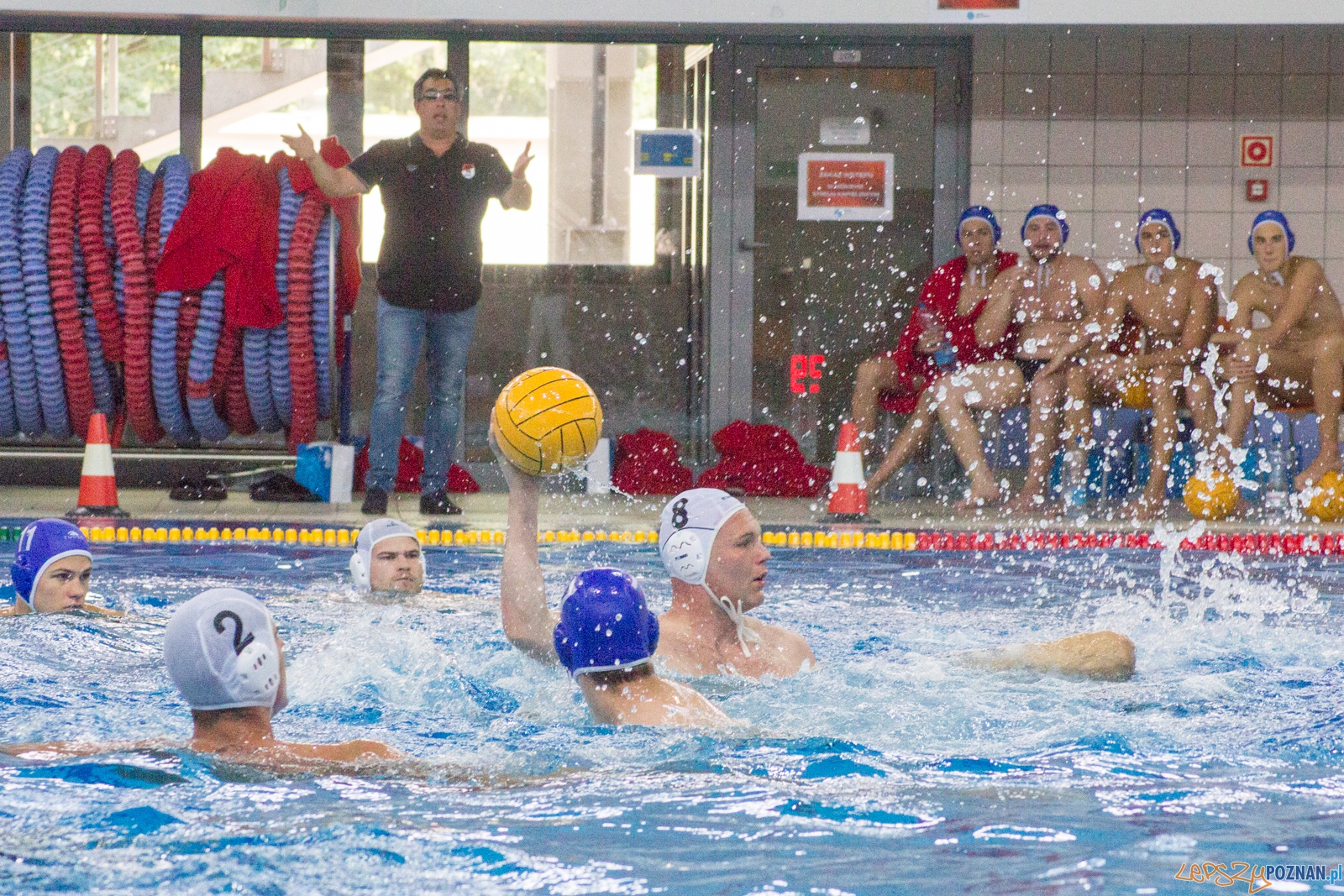 KS Waterpolo Poznań-Honvéd Budapeszt  Foto: Ewelina Jaśkowiak