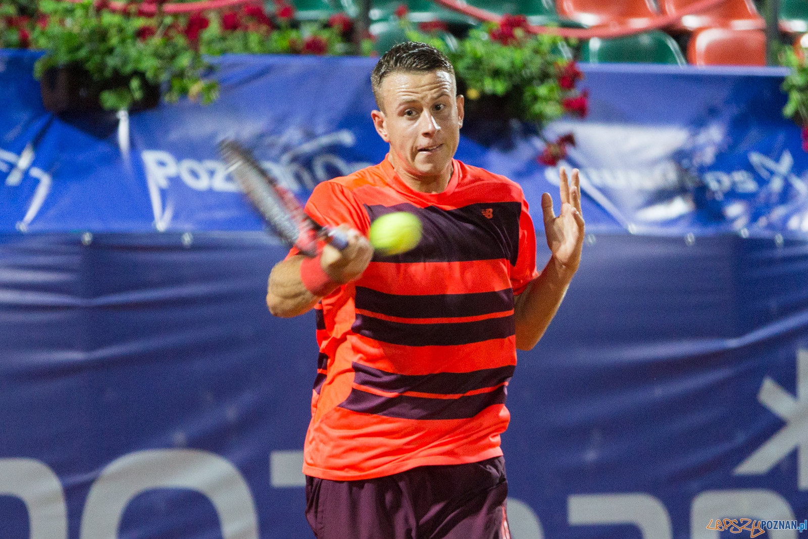 Poznań Open 2016: Radu Albot vs Michał Dembek  Foto: lepszyPOZNAN.pl / Piotr Rychter