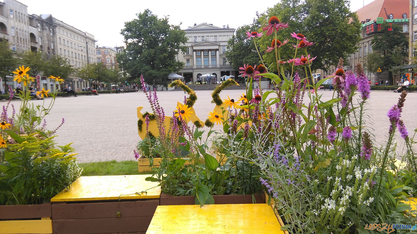 Pomagamy pszczołom - instalacja na Placu Wolności  Foto: 