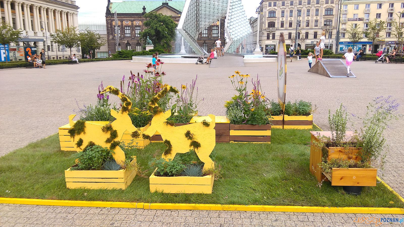 Pomagamy pszczołom - instalacja na Placu Wolności  Foto: 