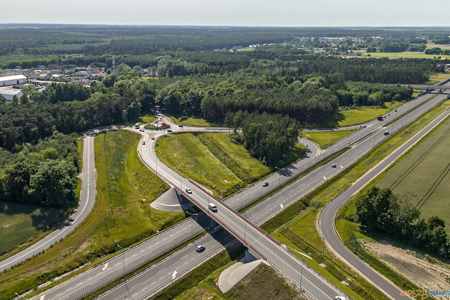 Z Dąbrówki do Poznania i w Polskę Linea  Foto: Linea