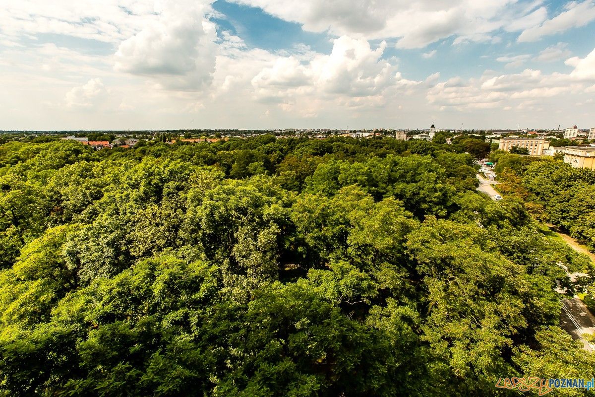 Dębiec Panorama  Foto: Red Park