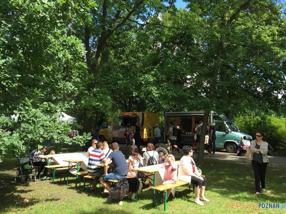 Wolny Food Truck Fest  Foto: Wolny Targ