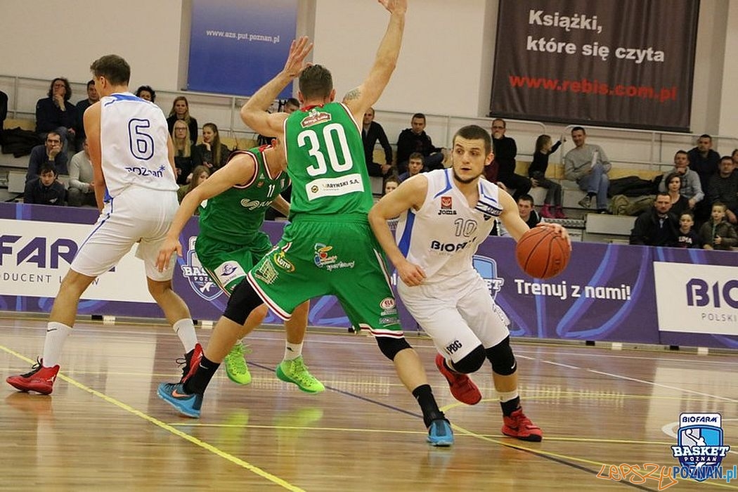 Biofarm Basket pokonał warszawską Legię  Foto: Małgorzata Demuth-Kubiak
