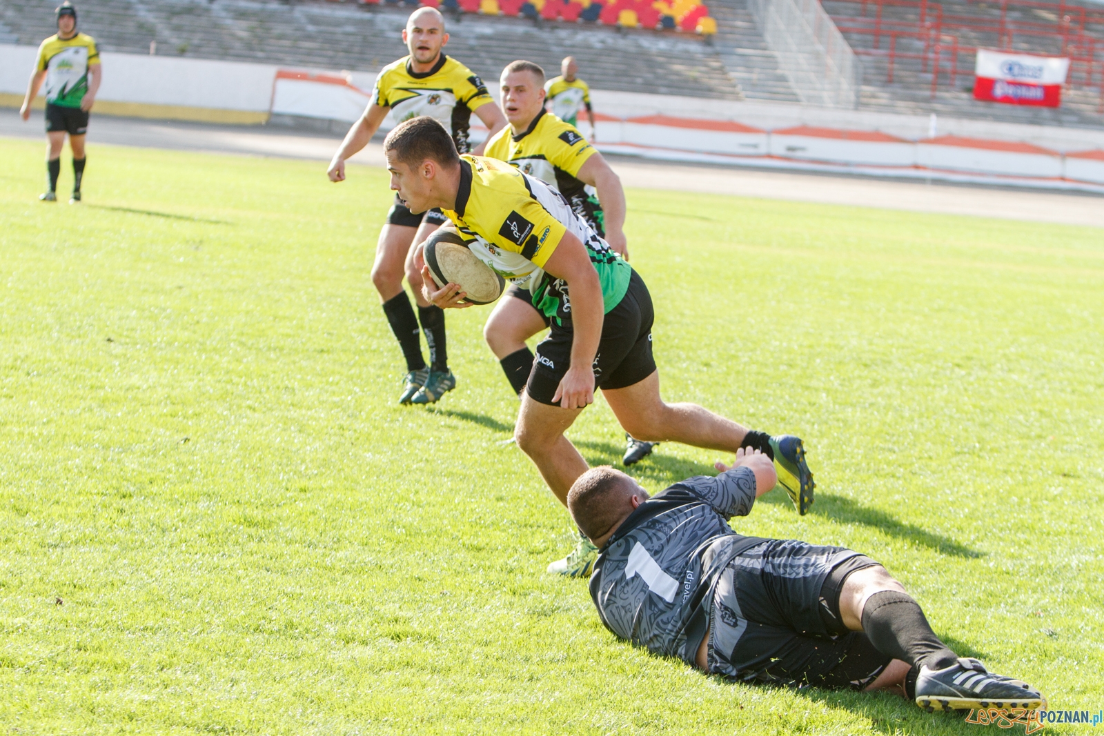 Chaos Poznań - Wataha Zielona Góra 48:19 - Poznań 25.09.2016  Foto: LepszyPOZNAN.pl / Paweł Rychter