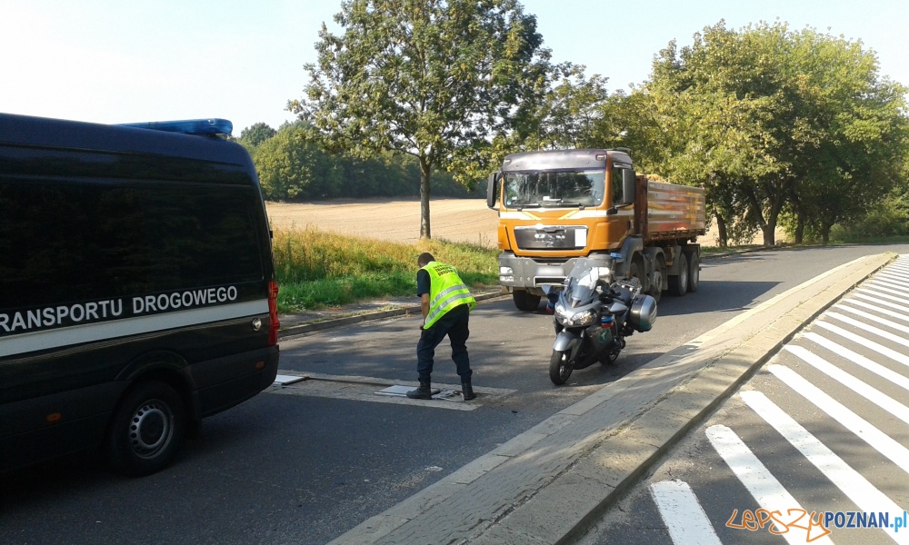 Ciężkie winy kierowców ciężarówek  Foto: WITD Poznań