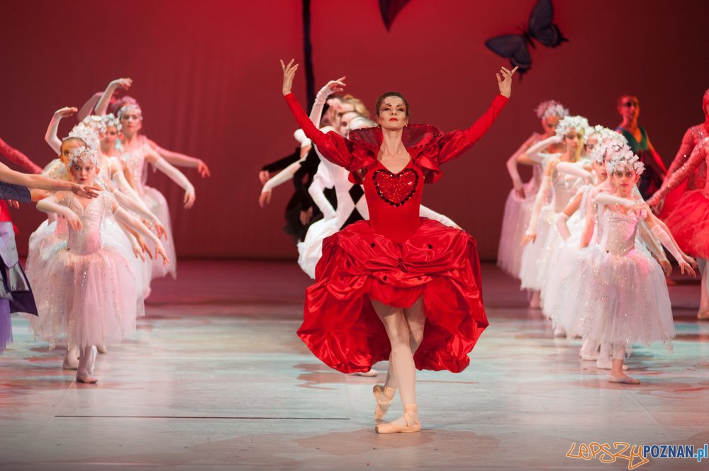 Alicja w Krainie Czarów  Foto: materiały Szkoły Baletowej 