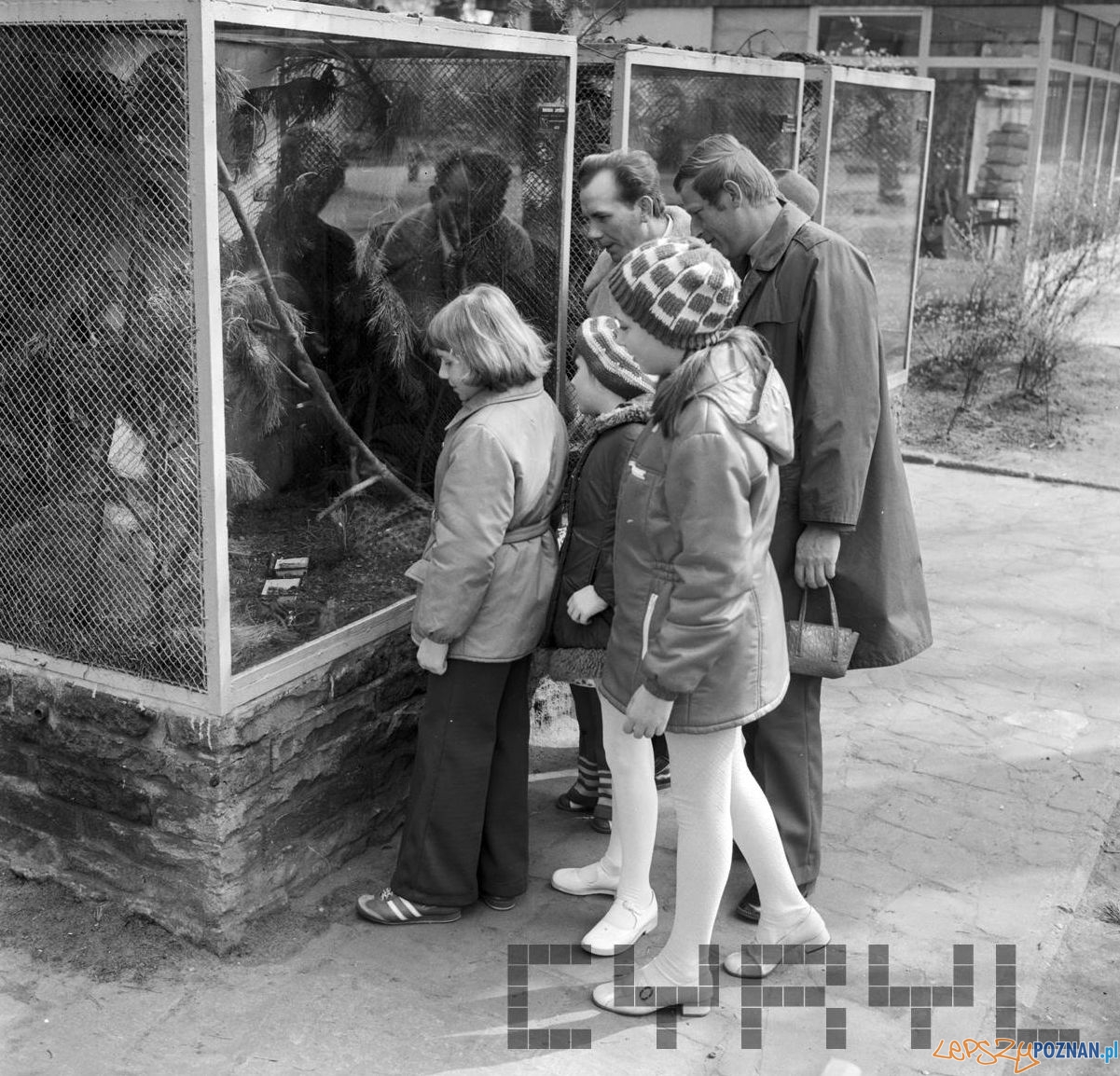 ZOO - kwiecień 1975  Foto: Stanisław Wiktor / Cyryl