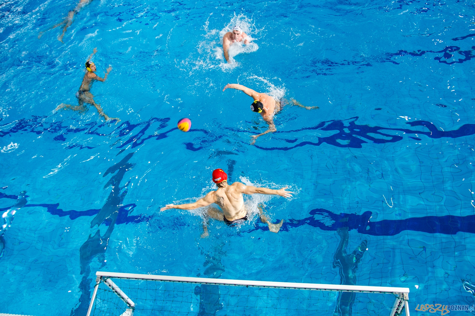 Waterpolo Poznań - WTS Polonia Bytom 13:12 - Poznań 23.10.2016  Foto: LepszyPOZNAN.pl / Paweł Rychter