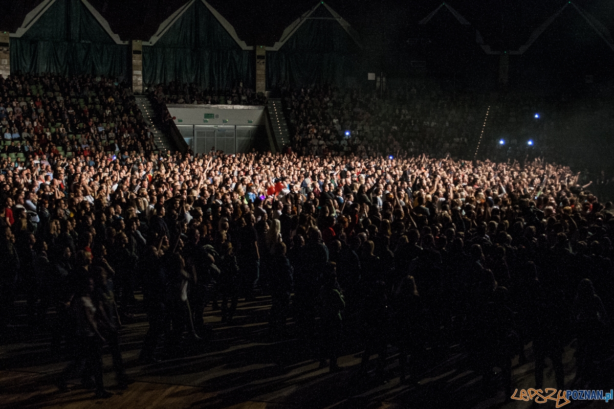 Kombii (8.10.2016) hala Arena  Foto: © lepszyPOZNAN.pl / Karolina Kiraga