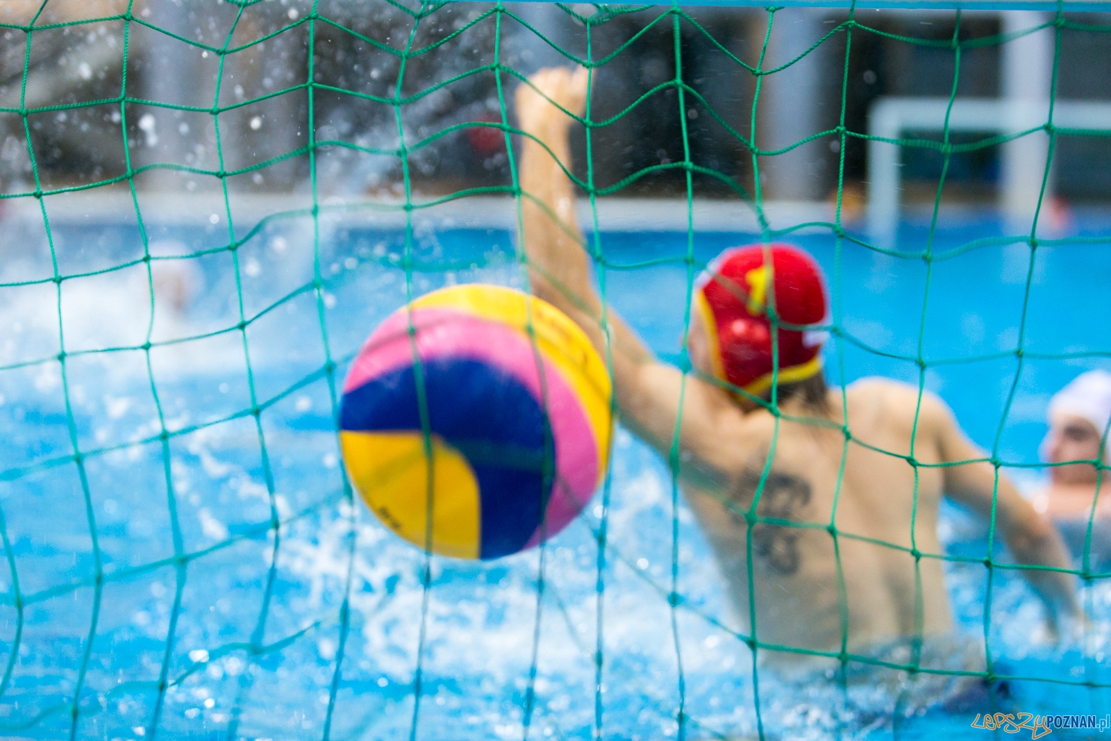 KS Waterpolo Poznań - WTS Polonia Bytom  Foto: lepszyPOZNAN.pl / Piotr Rychter