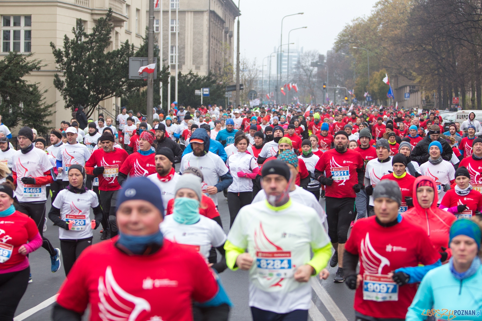 I Poznański Bieg Niepodległości  Foto: lepszyPOZNAN.pl / Piotr Rychter