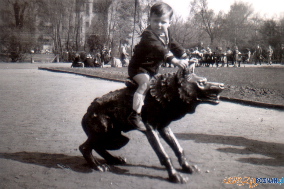 Stare ZOO - rzeźba wilka - 1954  Foto: materiały archiwalne ZOO