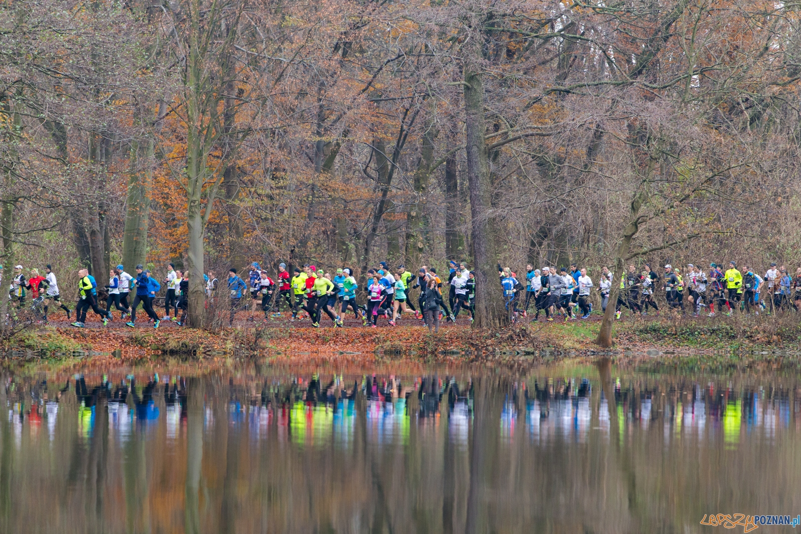 City Trail - 2. bieg wokół jeziora Rusałka  Foto: lepszyPOZNAN.pl / Piotr Rychter