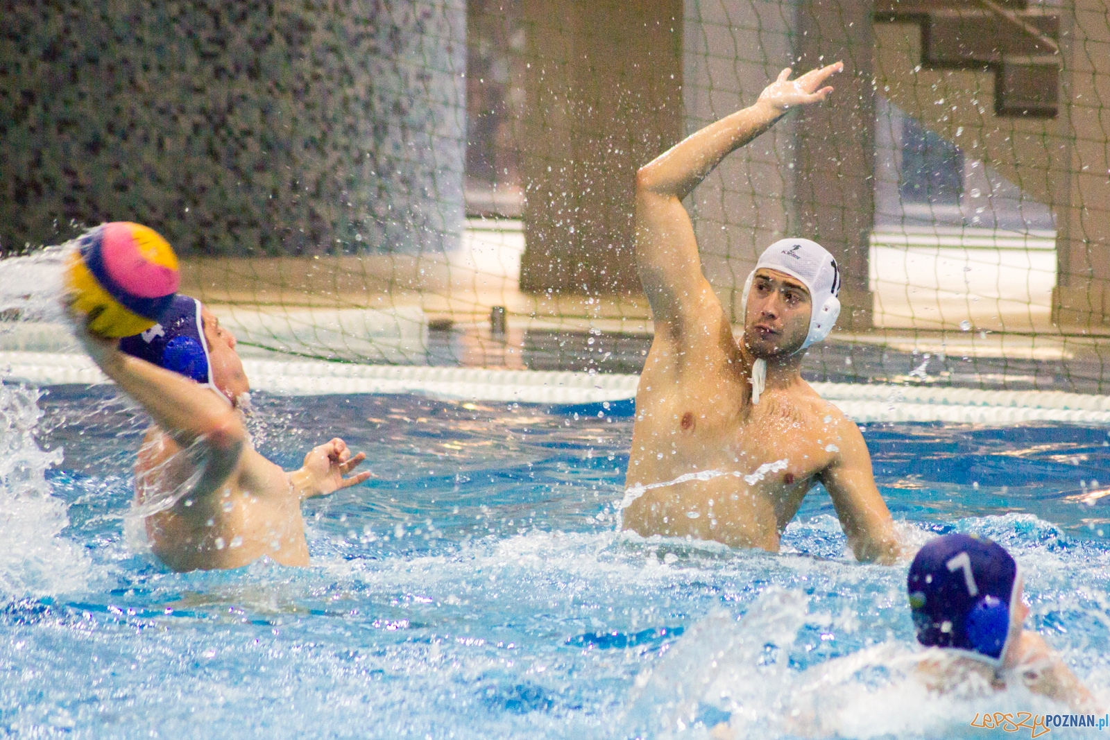 KS Waterpolo Poznań - GKPW 59 Gorzów  Foto: Ewelina Jaśkowiak