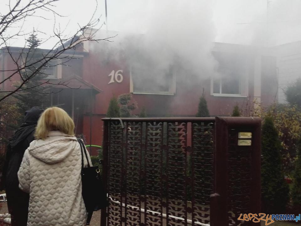 Pożar domu w Rogalinku  Foto: Komenda Miejska Państwowej Straży Pożarnej w Poznaniu