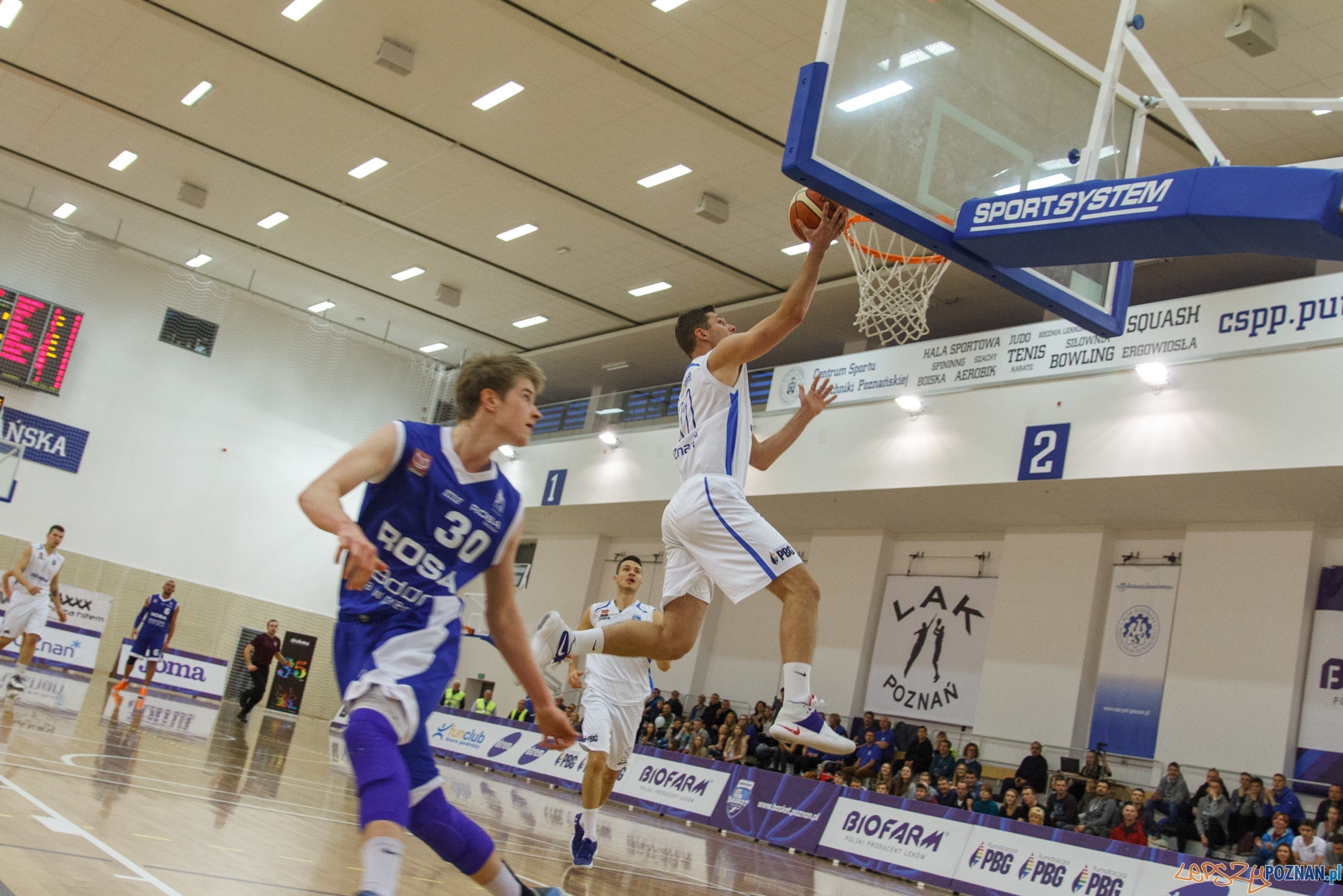 Biofarm Basket Poznań - ACK UTH Rosa Radom 64:51 - 1 liga - Poz  Foto: LepszyPOZNAN.pl / Paweł Rychter