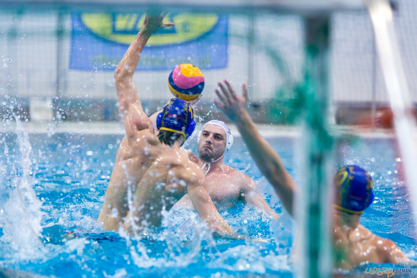 III Malta Waterpolo Cup - KS Waterpolo Poznań - ASV Wiedeń  Foto: lepszyPOZNAN.pl / Piotr Rychter