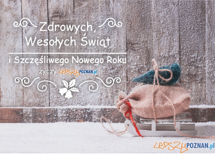 Wesołych Świąt!  Foto: 