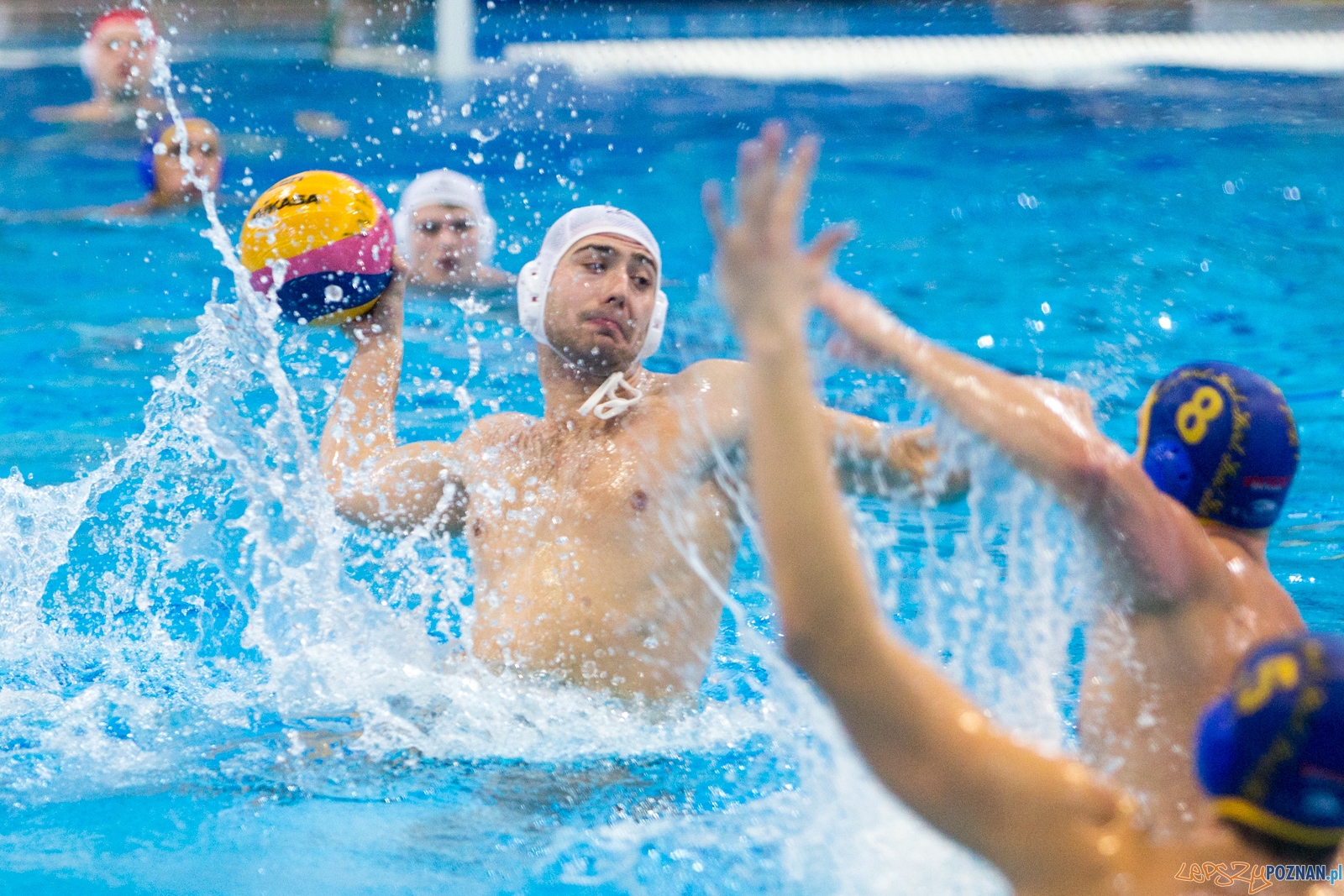 III Malta Waterpolo Cup - KS Waterpolo Poznań - ASV Wiedeń  Foto: lepszyPOZNAN.pl / Piotr Rychter