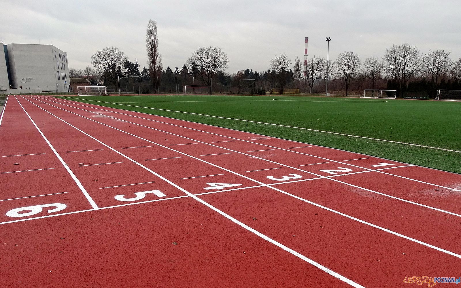 Młodzieżowy Ośrodek Sportowy na Gdańskiej – nowa bieżnia  Foto: POSiR