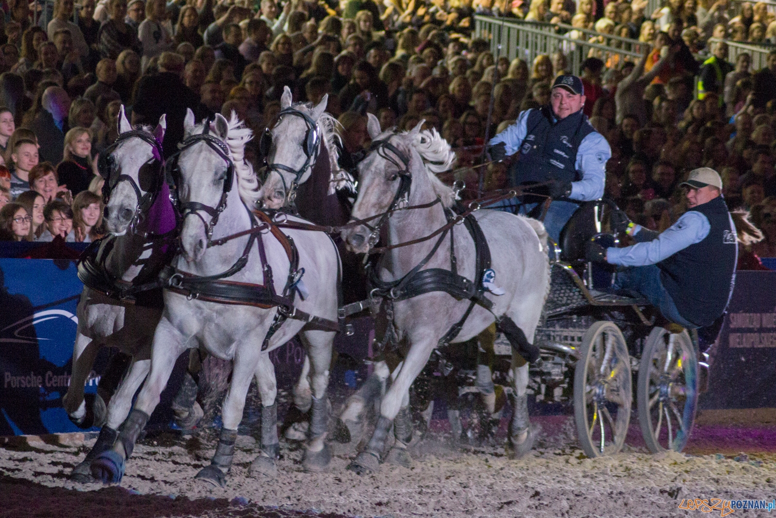 Cavaliada  Halowy Puchar Polski w Powożeniu Zaprzęgami Czterok  Foto: Ewelina Jaśkowiak