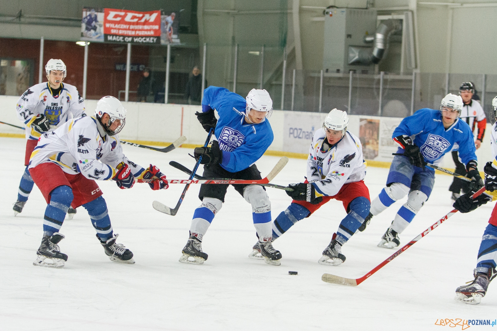 Hokej Poznań - SMS PZHL U18 Sosnowiec 3:4 - Poznań 04.12.2016  Foto: LepszyPOZNAN.pl / Paweł Rychter