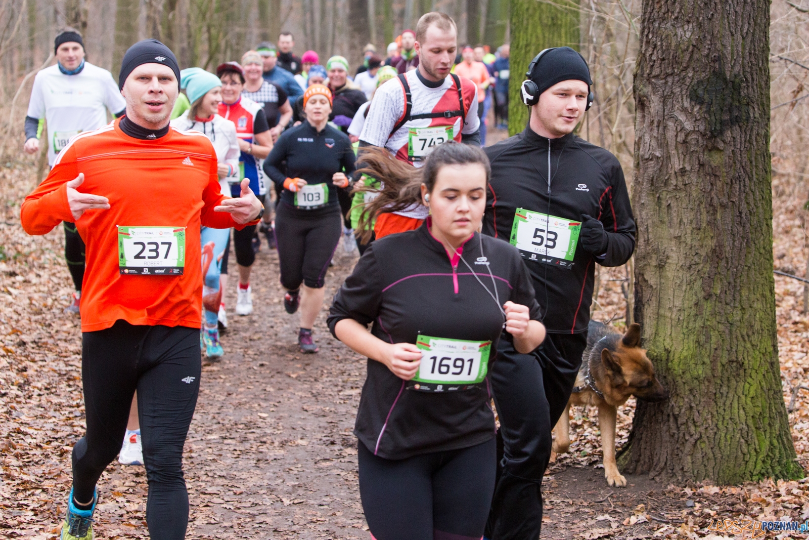 City Trail Poznań - bieg 3  Foto: lepszyPOZNAN.pl / Piotr Rychter