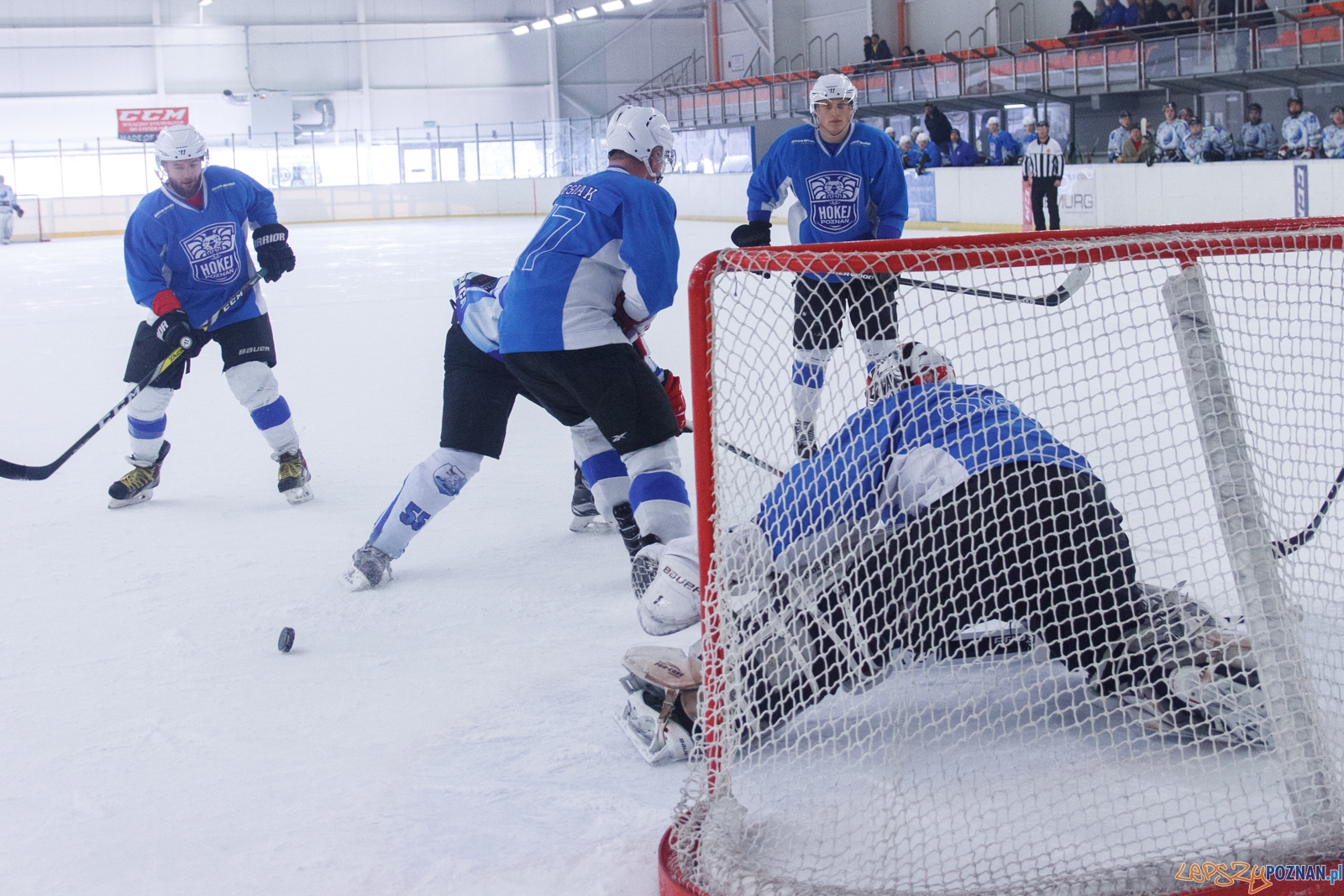 Hokej Poznań - UKH Dębica 7:6 - Poznań 29.01.2017 r.  Foto: LepszyPOZNAN.pl / Paweł Rychter