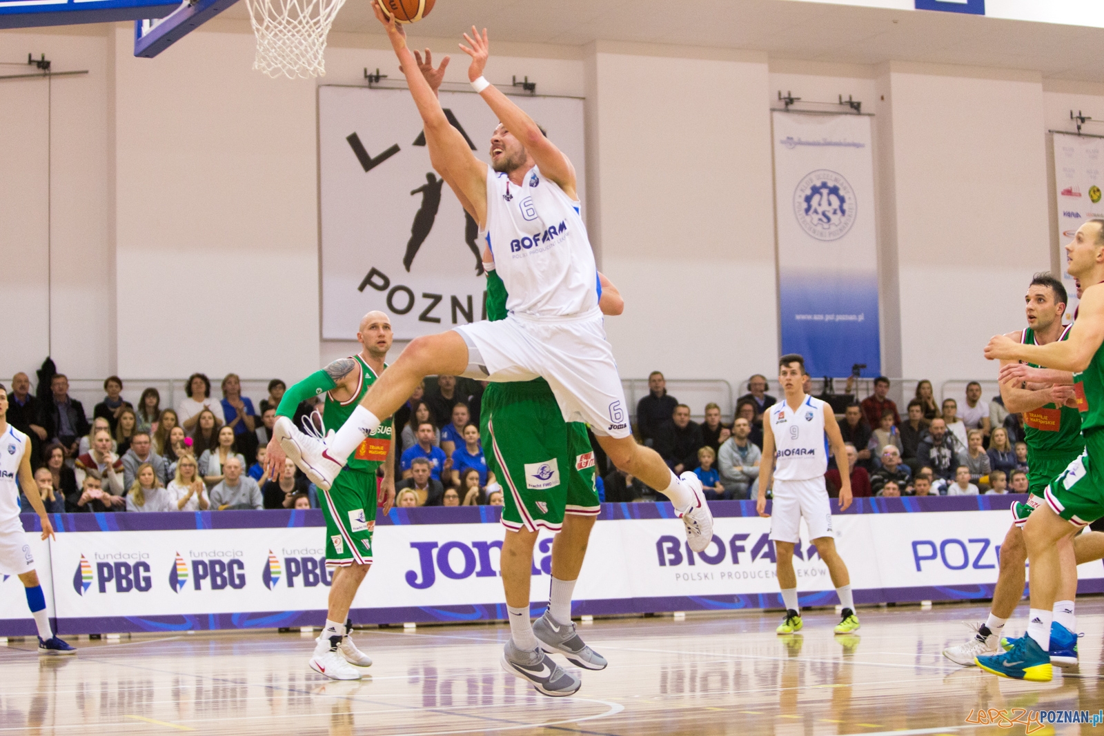 Biofarm Basket Poznań - Legia Warszawa  Foto: lepszyPOZNAN.pl / Piotr Rychter