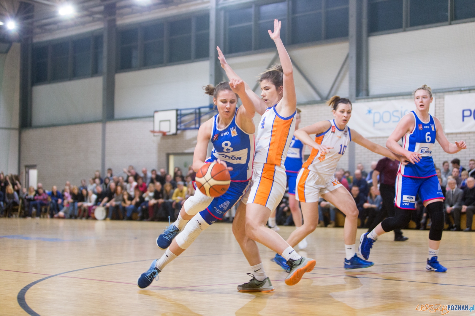 Derby Poznania: MUKS Pomarańczarnia Poznań - ENEA AZS Poznań  Foto: lepszyPOZNAN.pl / Piotr Rychter