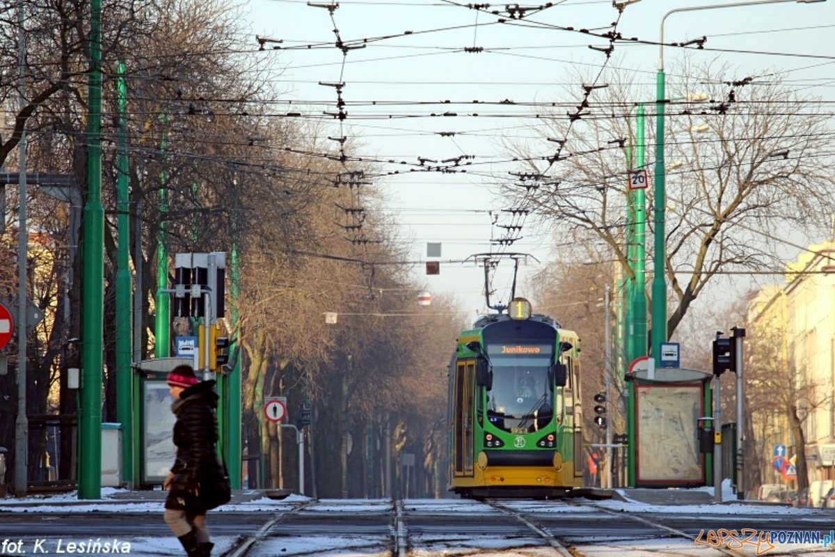 Moderus beta dwukierunkowy  Foto: MPK / K. Lesińska