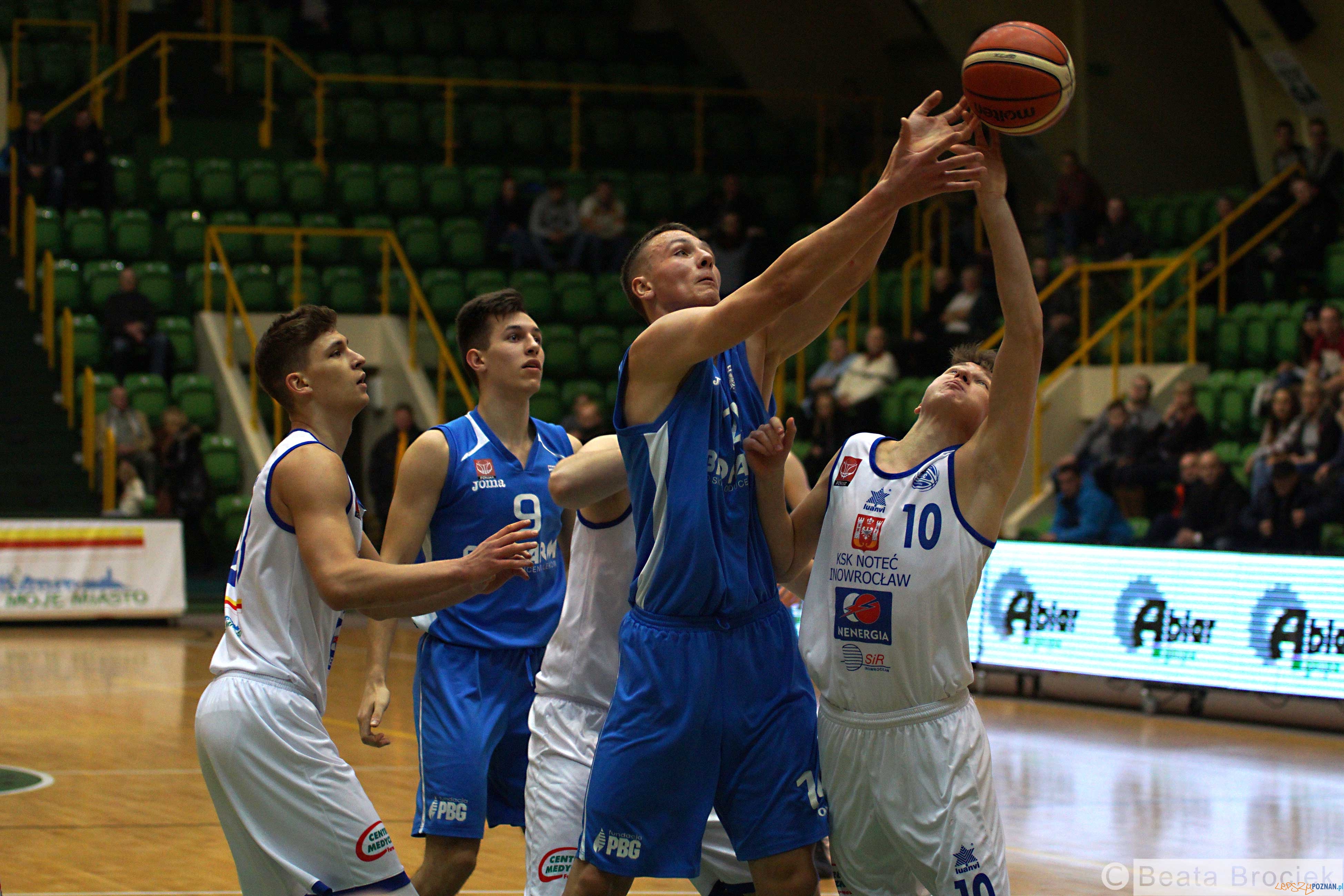 KSK Noteć - Biofarm Basket - mecz w Inowrocławiu  Foto: materały prasowe