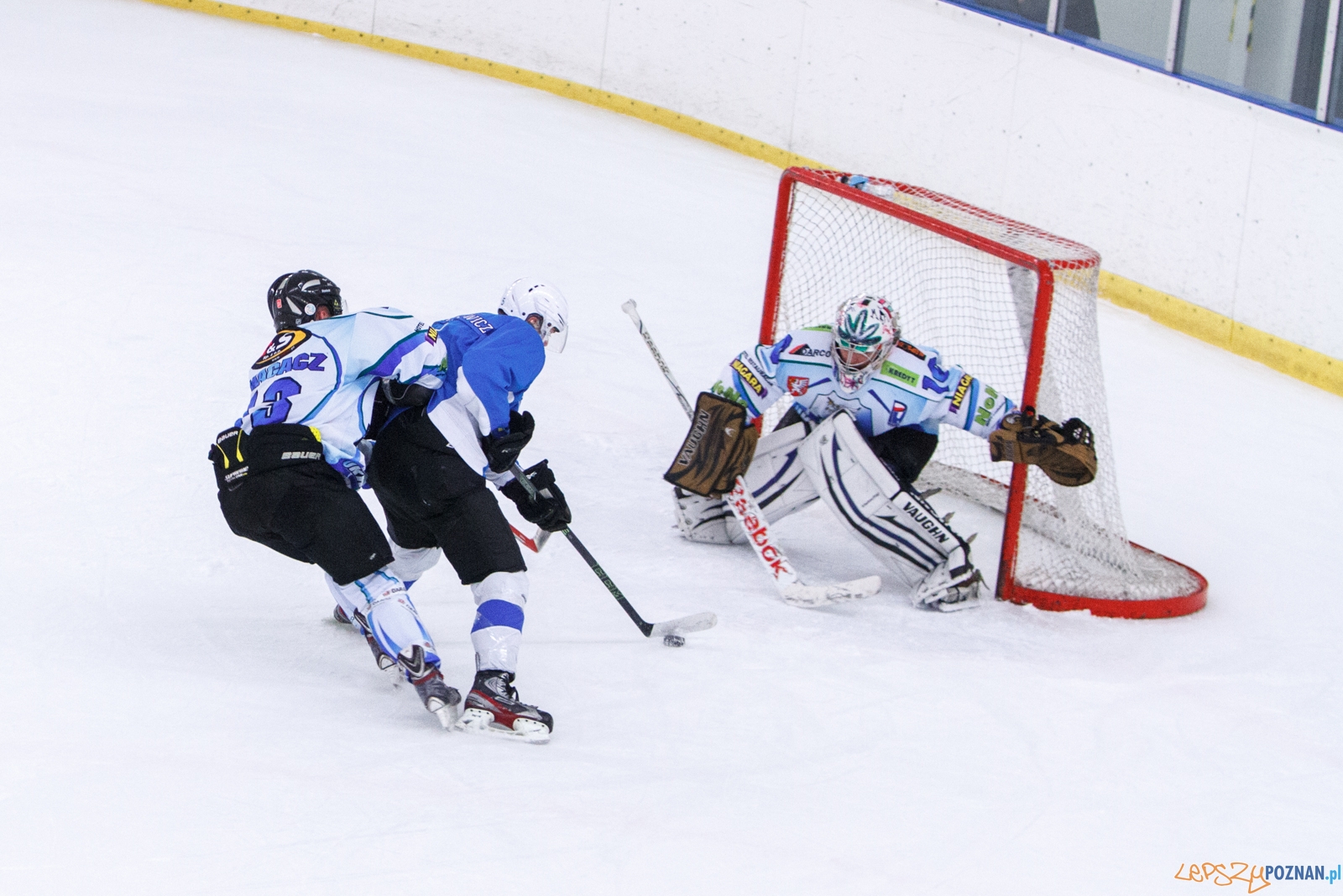 Hokej Poznań - UKH Dębica 9:5 - Poznań 28.01.2017 r.  Foto: LepszyPOZNAN.pl / Paweł Rychter