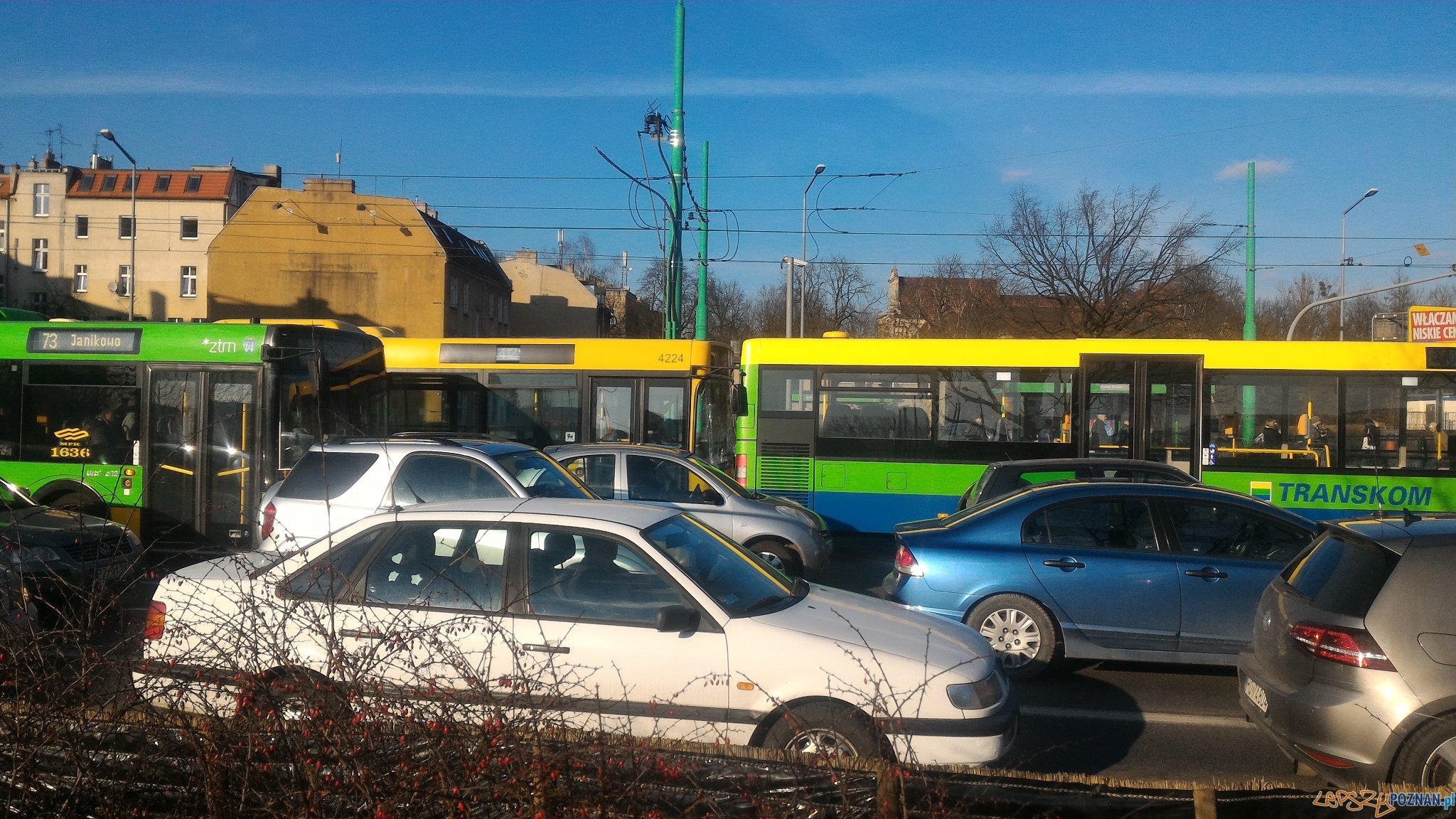 Zderzenie autobusów na Śródce  Foto: twitter / Michał