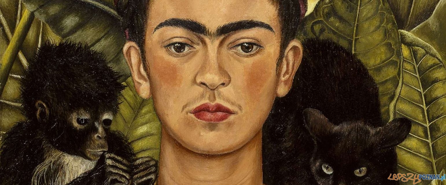 Frida Kahlo - autoportret z naszyjnikiem z cierni  Foto: 