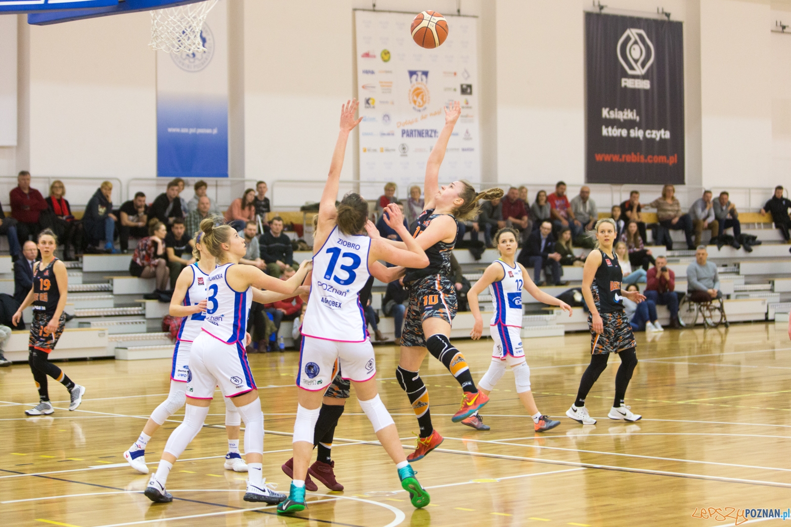 Enea AZS Poznań - UKS Basket SMS Aleksandrów Łódzki  Foto: lepszyPOZNAN.pl / Piotr Rychter