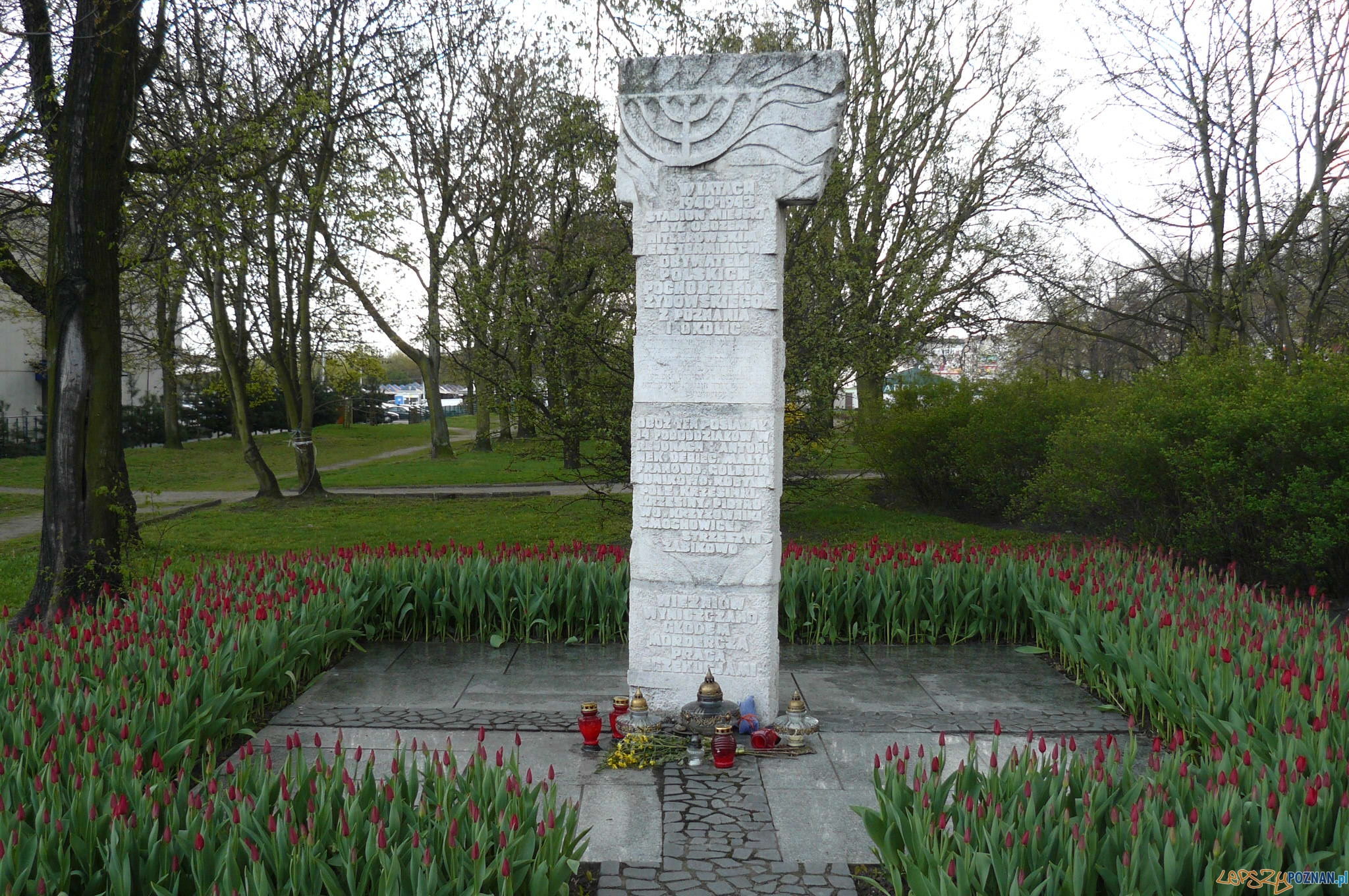 Pomnik pomordowanych Żydów - rzeźba Józefa Kaliszana  Foto: MOs810 / wikipedia 