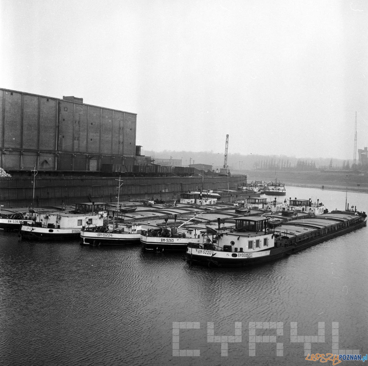 Port przy Szyperskiej - 16.03.1975  Foto: Stanisław Wiktor / Cyryl