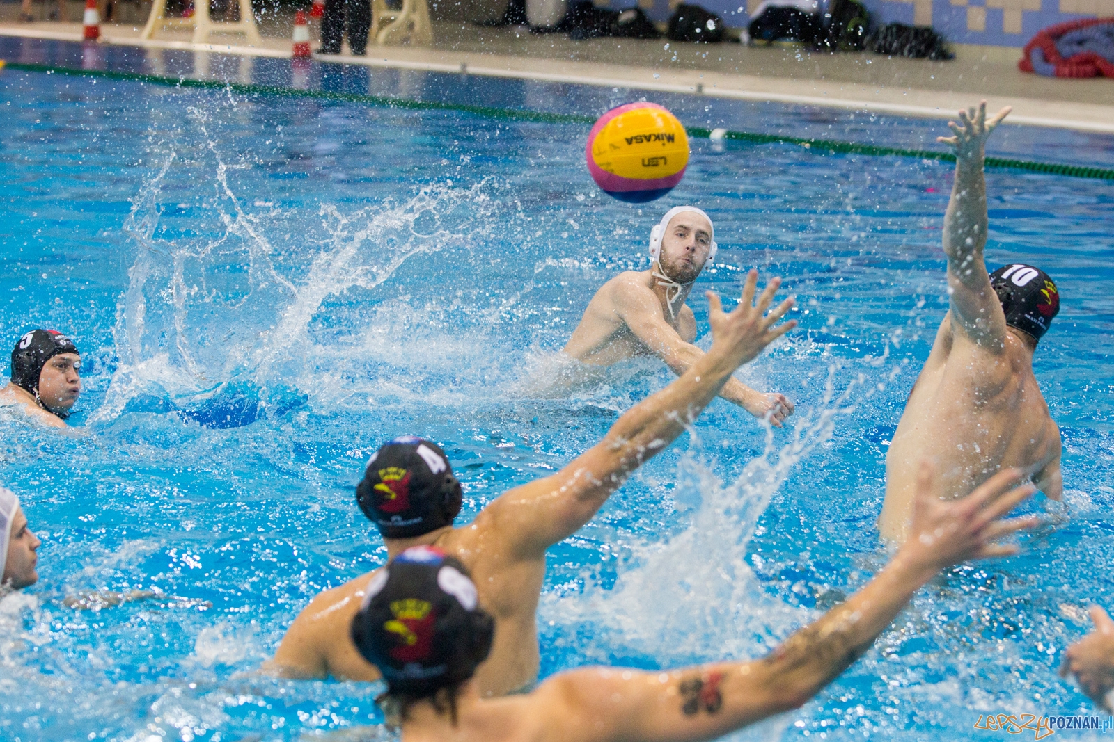 Waterpolo Poznań - Arkonia Szczecin  Foto: lepszyPOZNAN.pl / Piotr Rychter