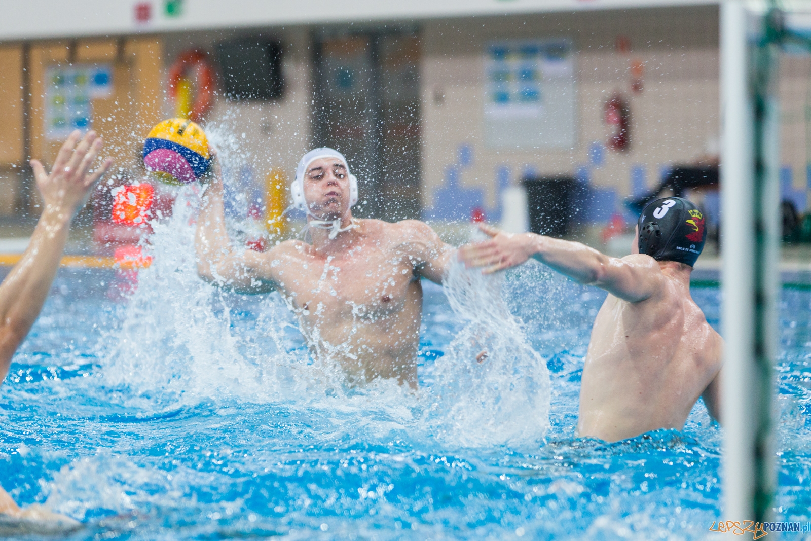 Waterpolo Poznań - Arkonia Szczecin (spotkanie rewanżowe)  Foto: lepszyPOZNAN.pl / Piotr Rychter