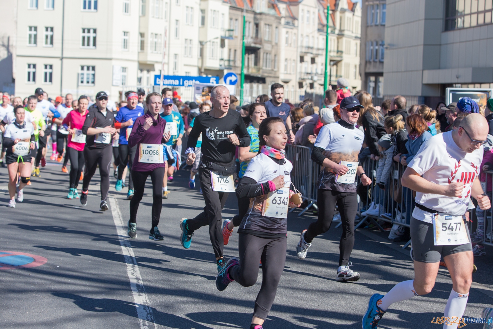 10. PKO Poznań Pólmaraton  Foto: lepszyPOZNAN.pl / Piotr Rychter