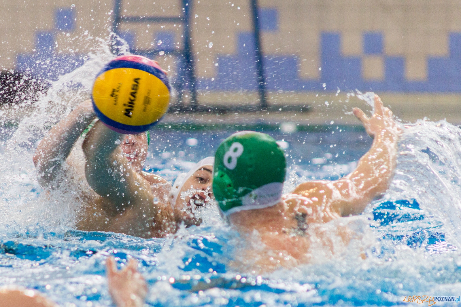 KS Waterpolo Poznań - Legia Warszawa  Foto: lepszyPOZNAN.pl / Ewelina Jaśkowiak