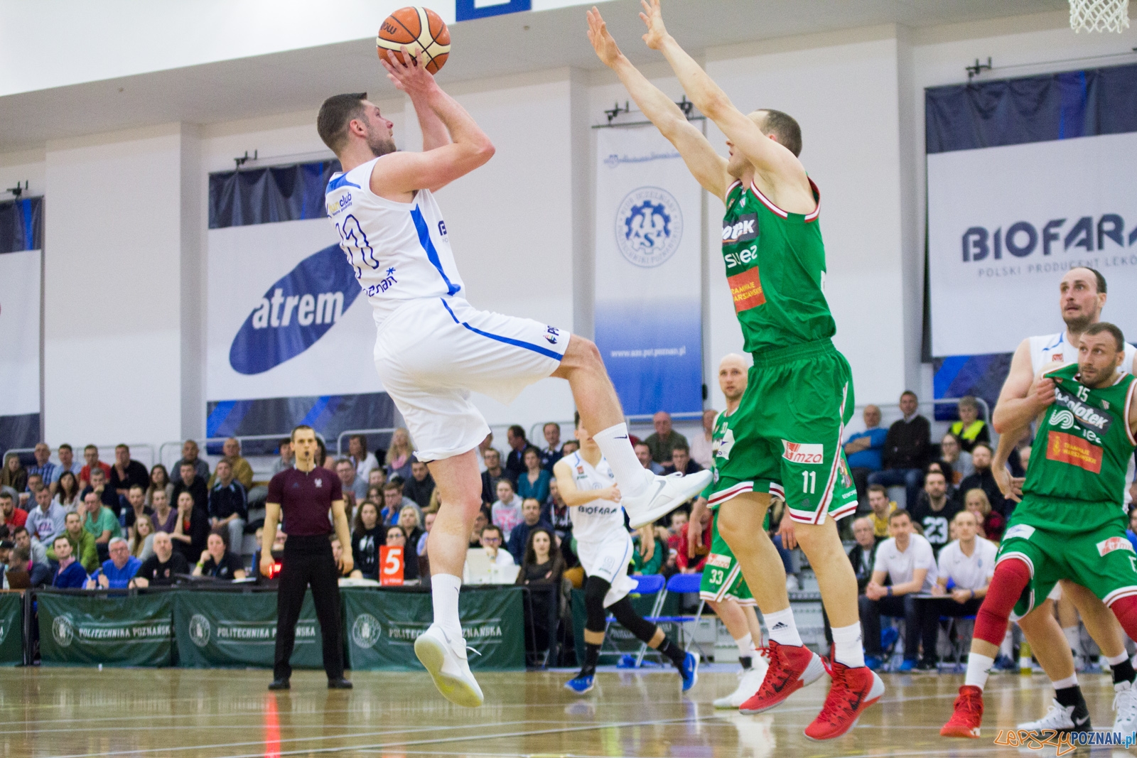 Bofarm Basket Poznań - Legia Warszawa  Foto: lepszyPOZNAN.pl / Ewelina Jaśkowiak